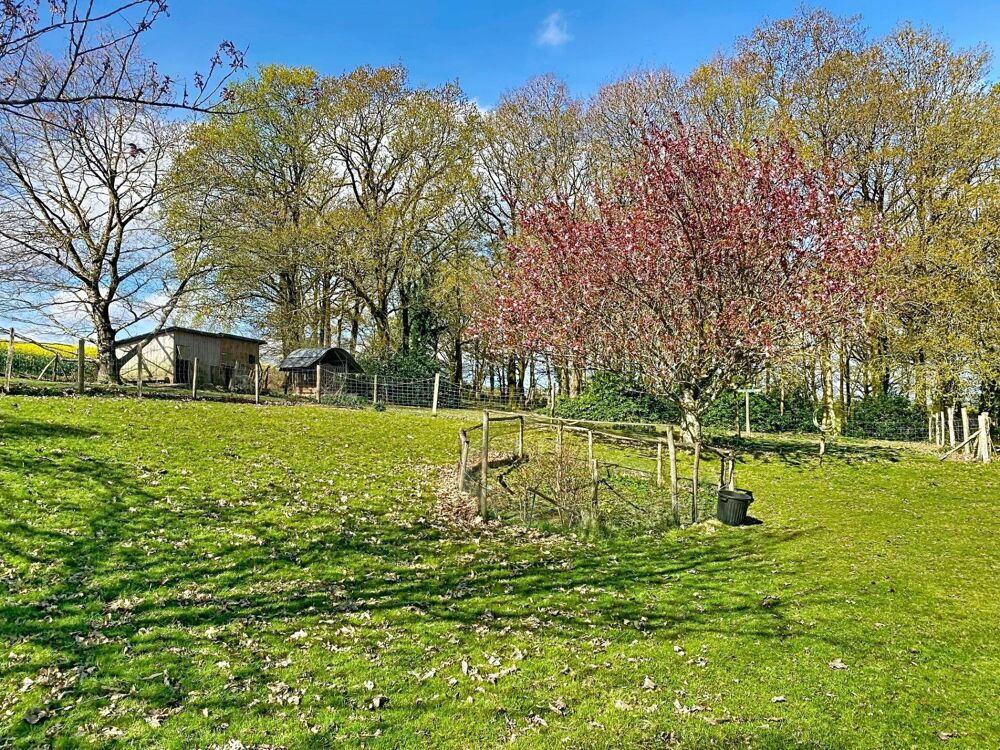 Vente Maison Magnifique propriétée en campagne de Pluvigner Pluvigner