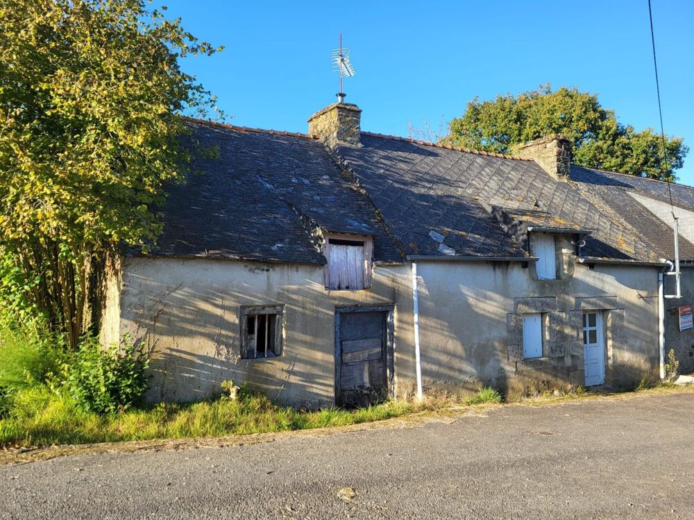 Vente Maison À saisir sur la commune de Pleugriffet ! Pleugriffet