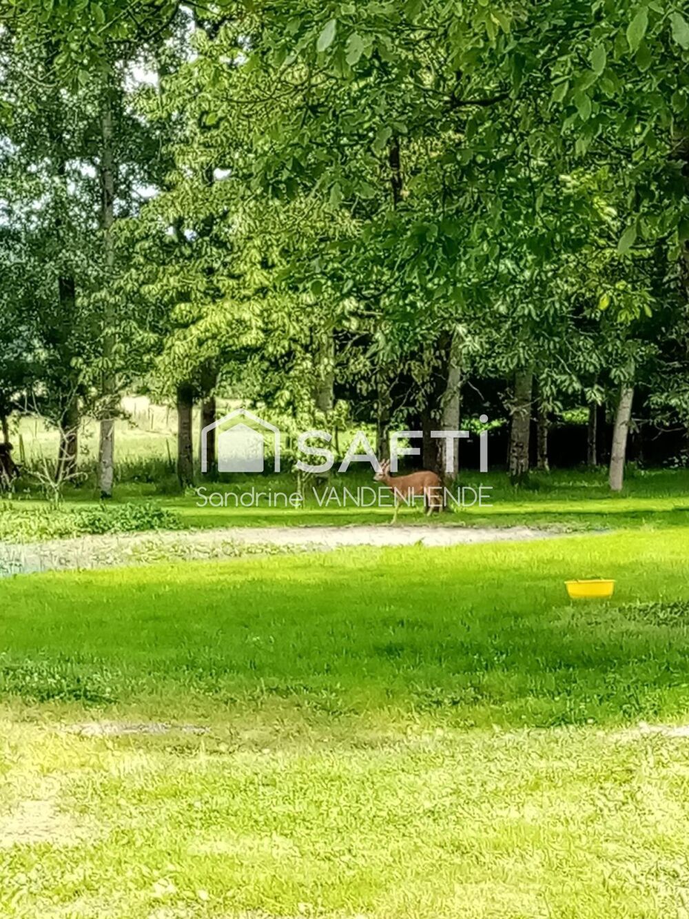 Vente Maison Maison familiale possède un parc avec bois/verger Beaume