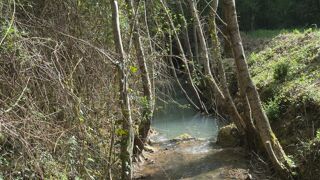  Terrain � vendre 6056 m�