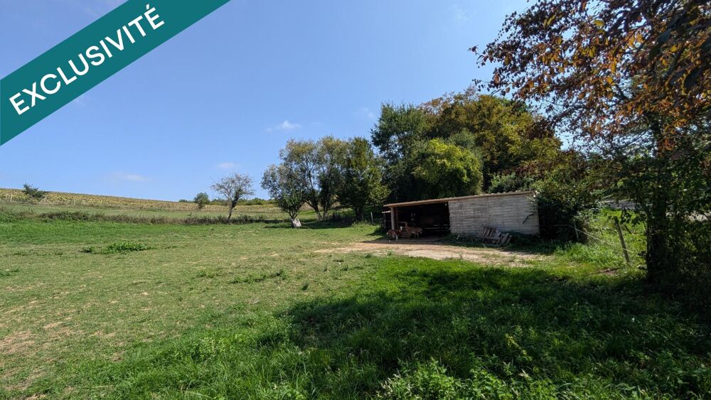 Vente Maison Maison avec piscine sur 7 000 m² sans vis-à-vis Castelnau-sur-gupie