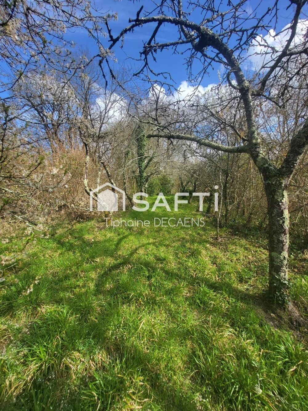 Vente Terrain Terrain constructible de 1800m2 avec cave troglodyte Neuil