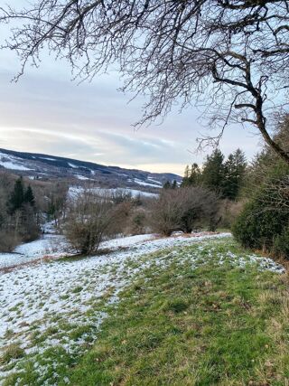  Terrain � vendre 54640 m�