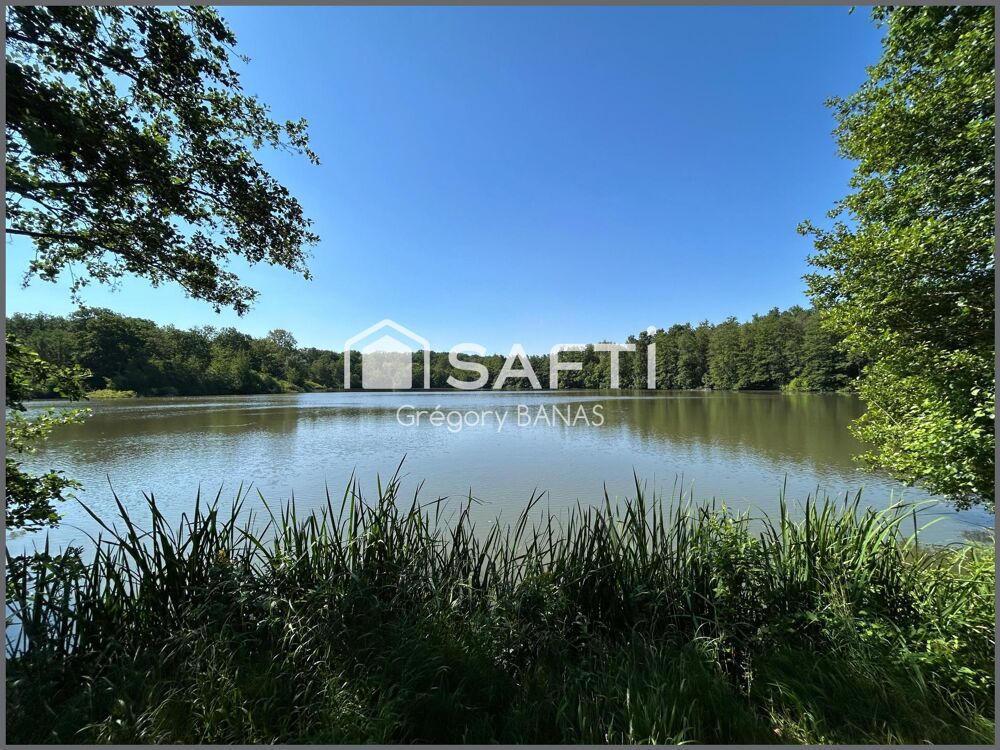 Vente Terrain Propriété forestière avec étang – 30,63 ha – Aux portes de Metz Metz