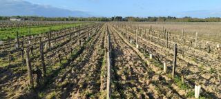  Terrain à vendre 33000 m²