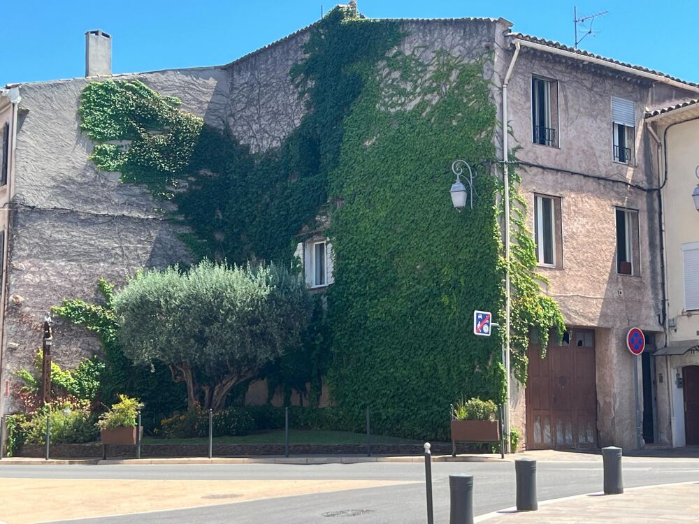 Vente Immeuble Très bel ensemble immobilier Vidauban