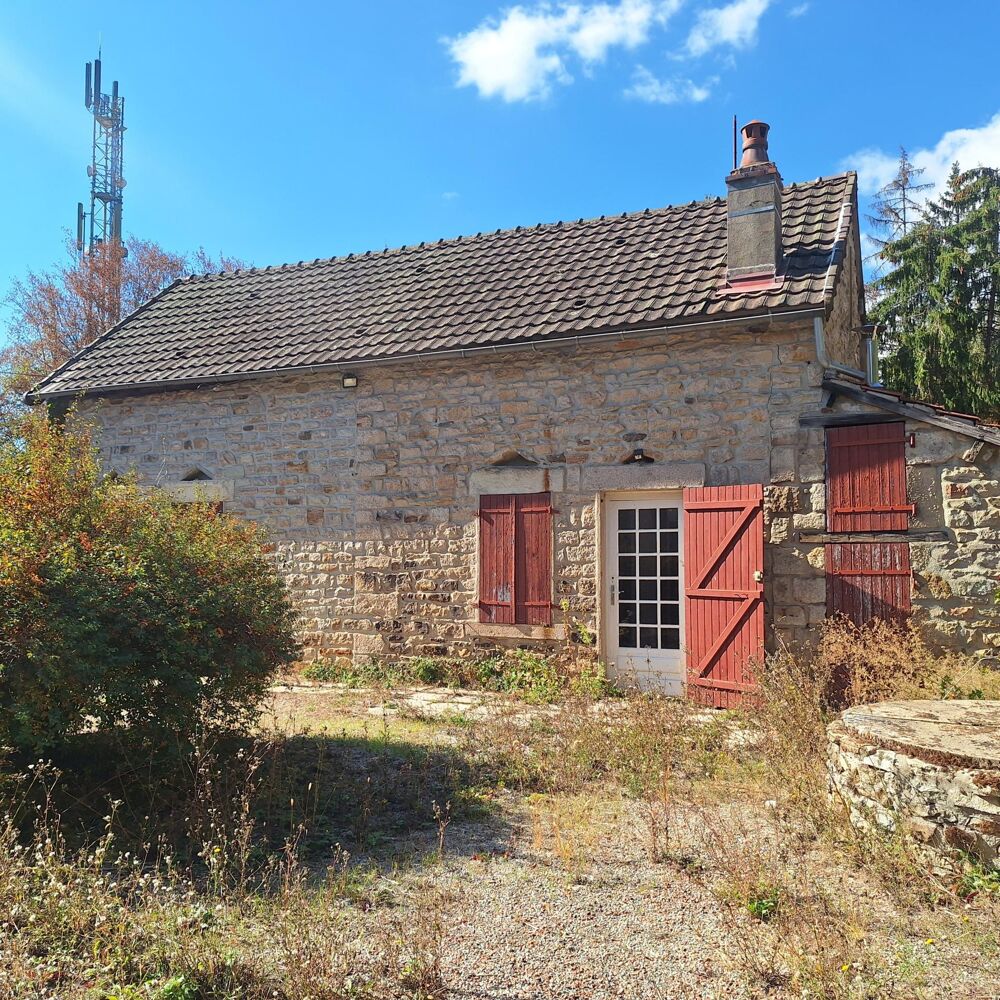 Vente Maison Ensemble immobilier: maison , appartement et local commercial avec restaurant /bar /discothèque Marmagne