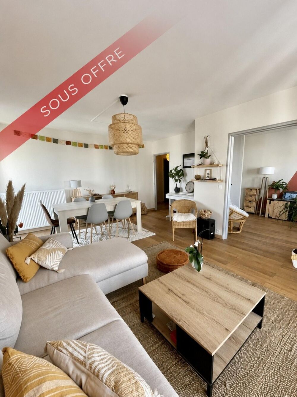 APPARTEMENT LUMINEUX RENOVE ( (électricité, plomberie, sols, peinture, huisseries)