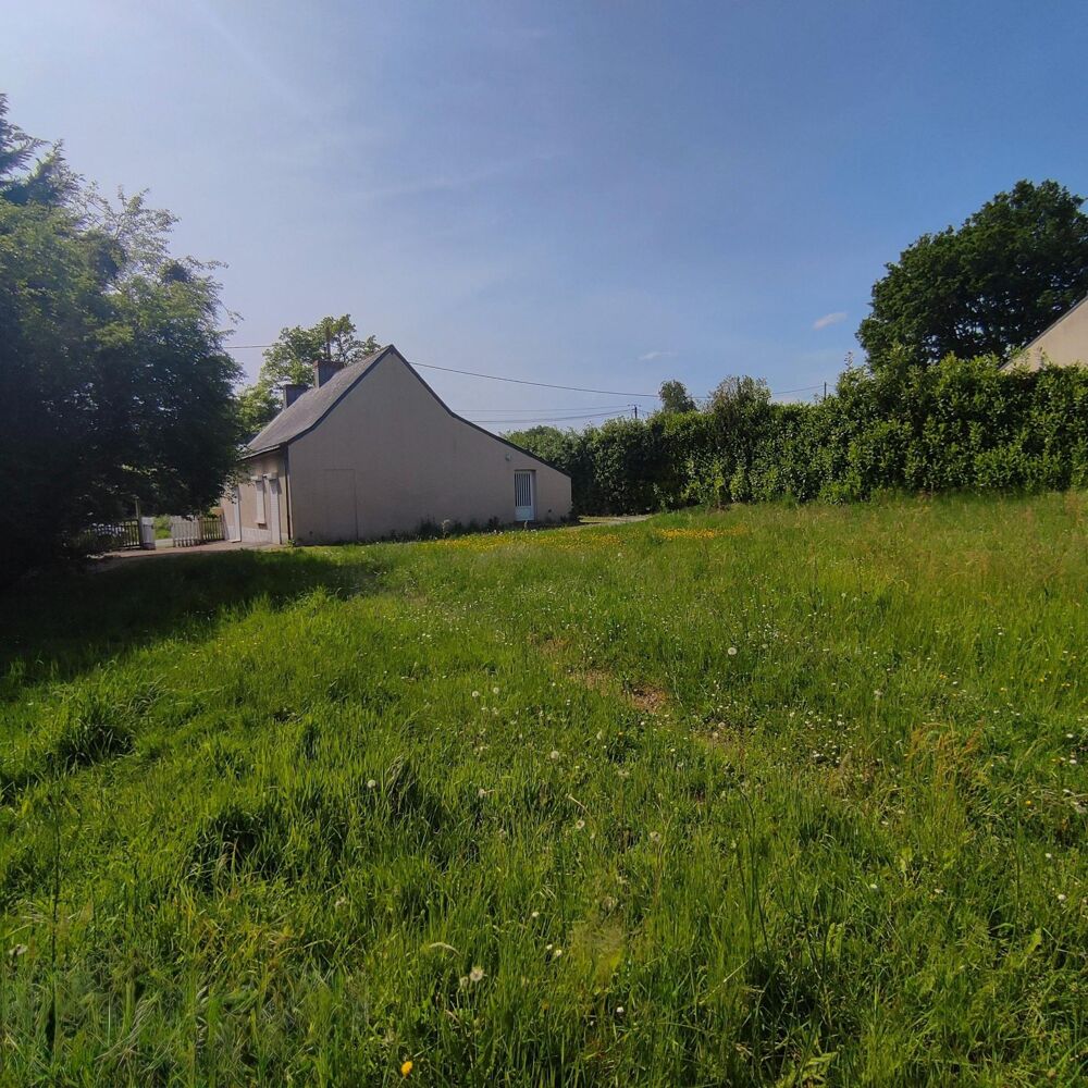 Vente Maison Maison avec grand terrain. Abbaretz
