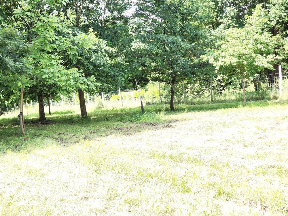 Vente Terrain Terrain fruitier proche du château Roger Villeneuve-sur-lot
