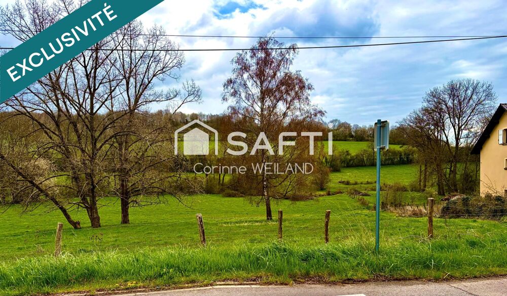 Vente Terrain Beau terrain à bâtir  à 6 mn de LONGEVILLE LES ST AVOLD façade de 24 m - Plus de 14 ares constructibles. Arrière donnant sur la Longeville-les-saint-avold
