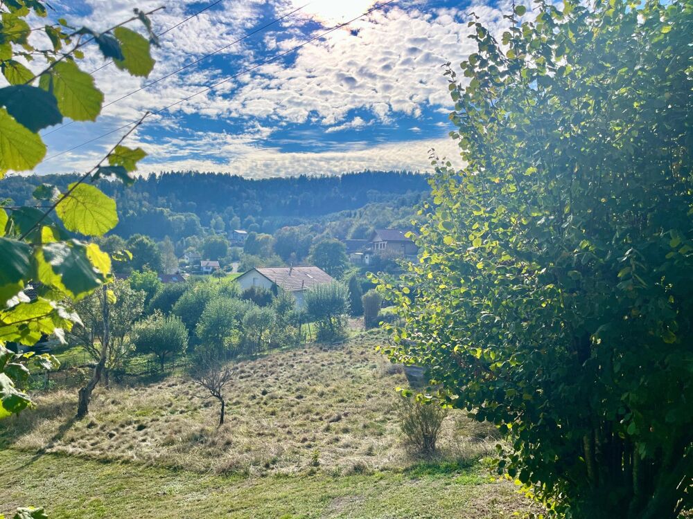 Vente Terrain Terrain constructible avec vue panoramique Saint-nabord