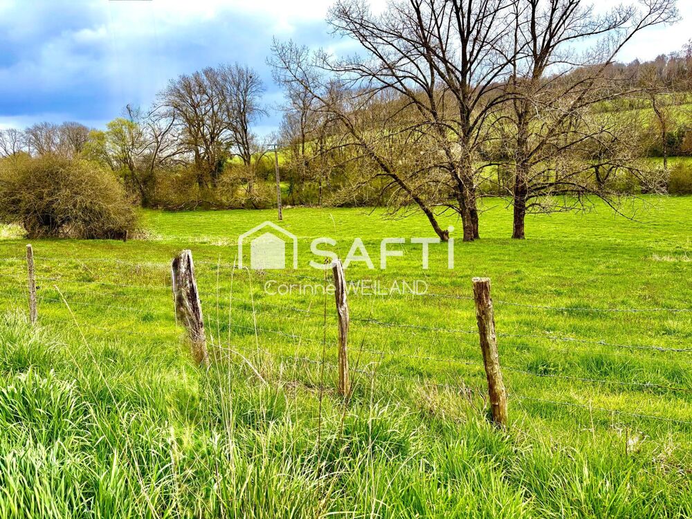 Vente Terrain Beau terrain à bâtir  à 6 mn de LONGEVILLE LES ST AVOLD façade de 24 m - Plus de 14 ares constructibles. Arrière donnant sur la Longeville-les-saint-avold