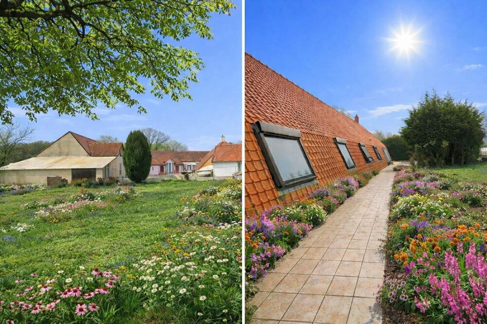 Vente Maison Longère d'exception : Le volume et le charme (210 m²) Audincthun