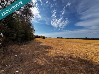  Terrain à vendre 7040 m²