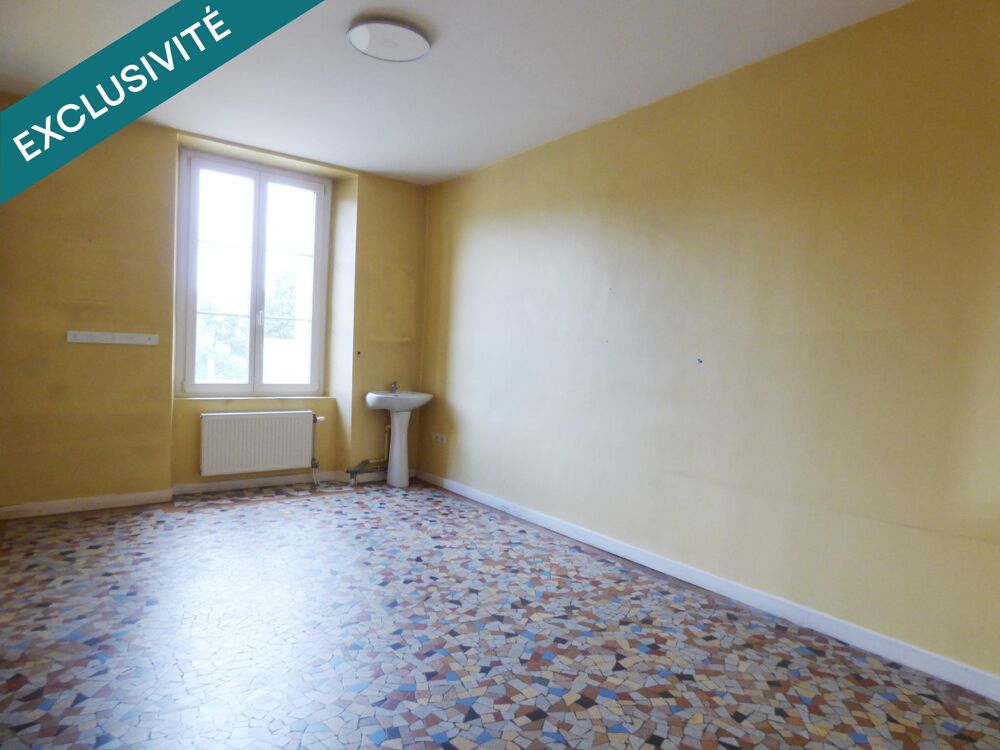 Vente Appartement Lot de deux appartements réunis dans Maison de Maître avec jardin Cernay