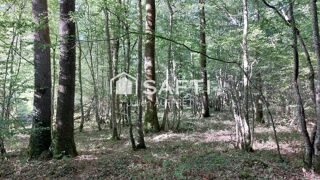  Terrain à vendre 136761 m²