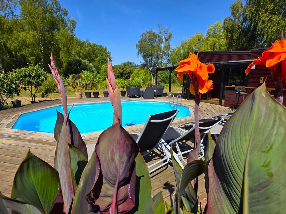 Chalet en bois, de plain pied, au coeur de la campagne baugeoise, avec sa piscine et son étang de pêche