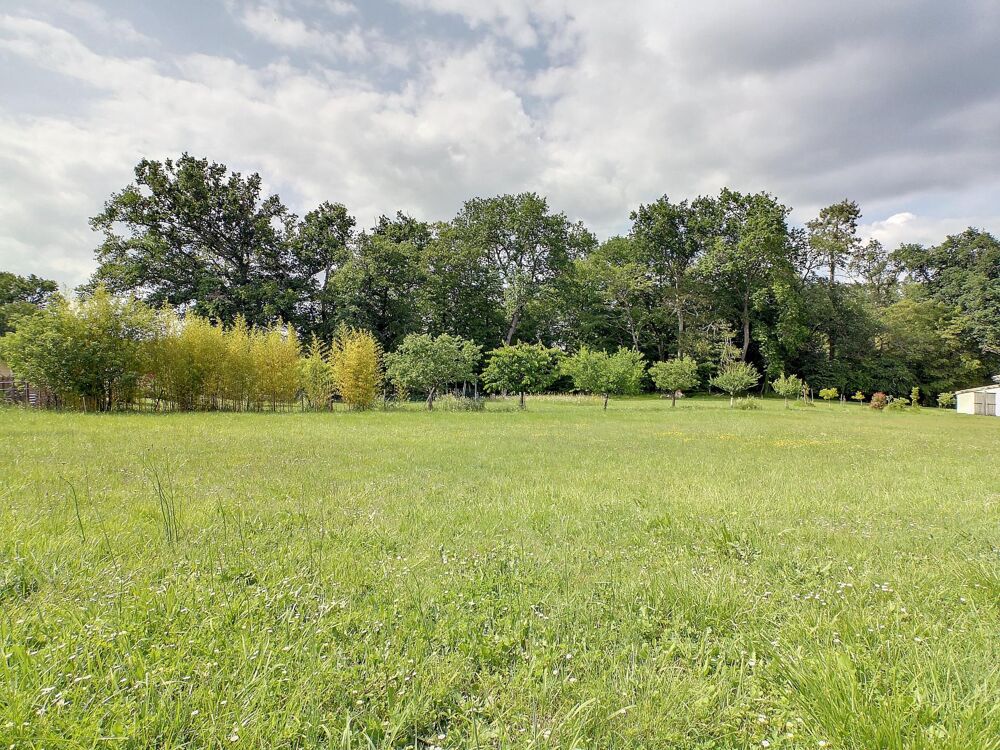 Vente Terrain Grand terrain constructible viabilisé Fargues-saint-hilaire