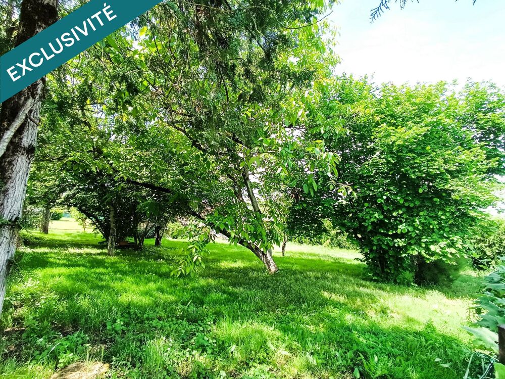 Vente Terrain Terrain arboré avec dépendance Saint-benoit-de-carmaux