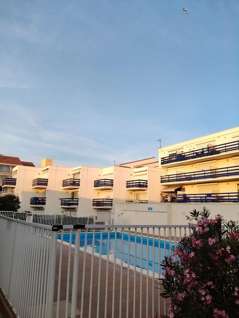 Vente Appartement appartement studio cabine vue mer et piscine Leucate