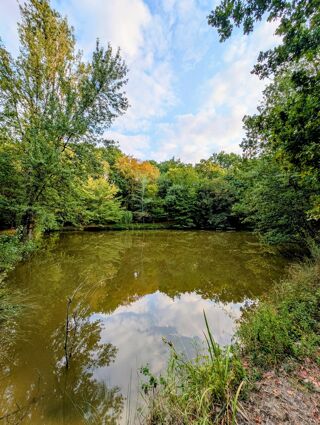  Maison à vendre 5 pièces 150 m²