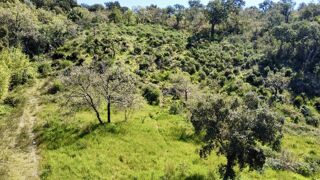  Terrain � vendre 6922 m�
