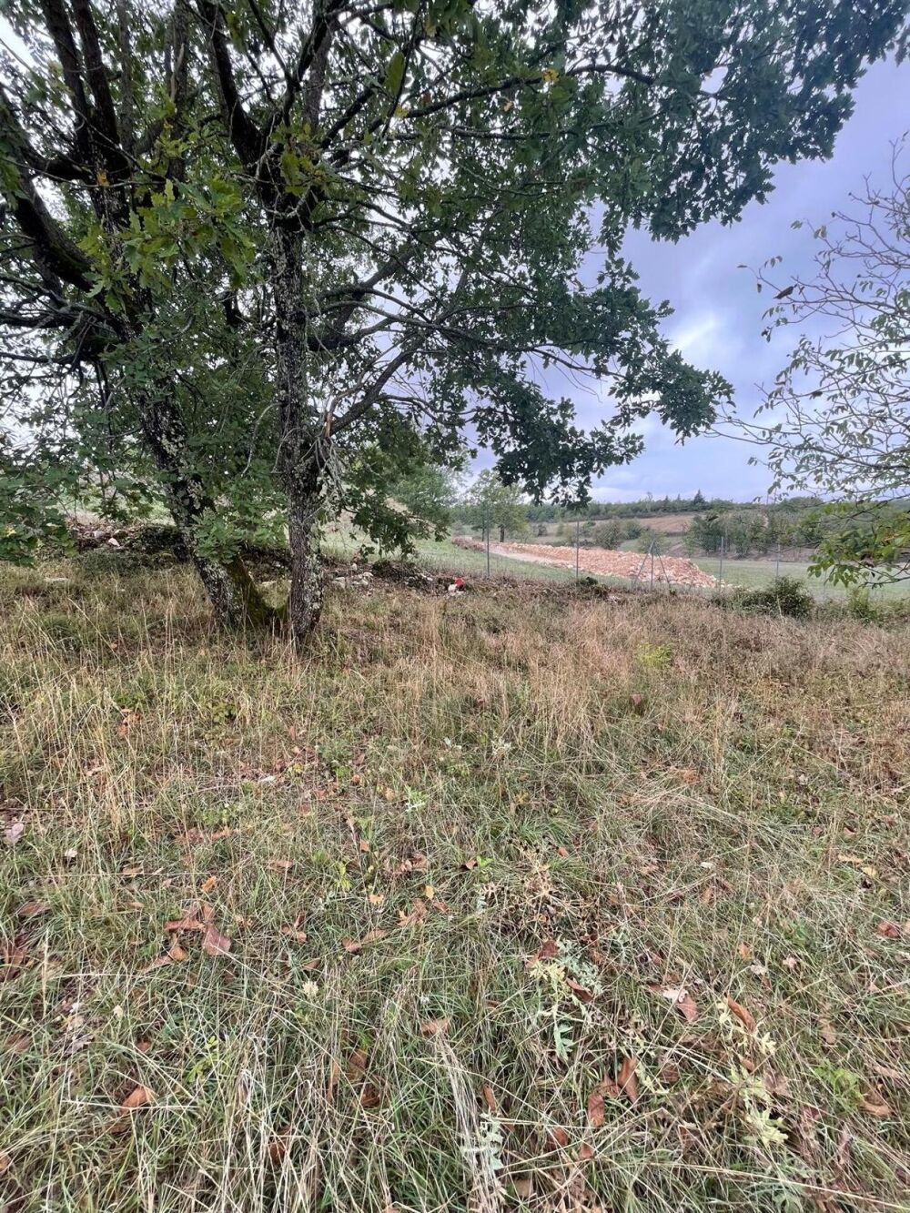 Vente Terrain BEAU TERRAIN PLAT CONSTRUCTIBLE Cieurac