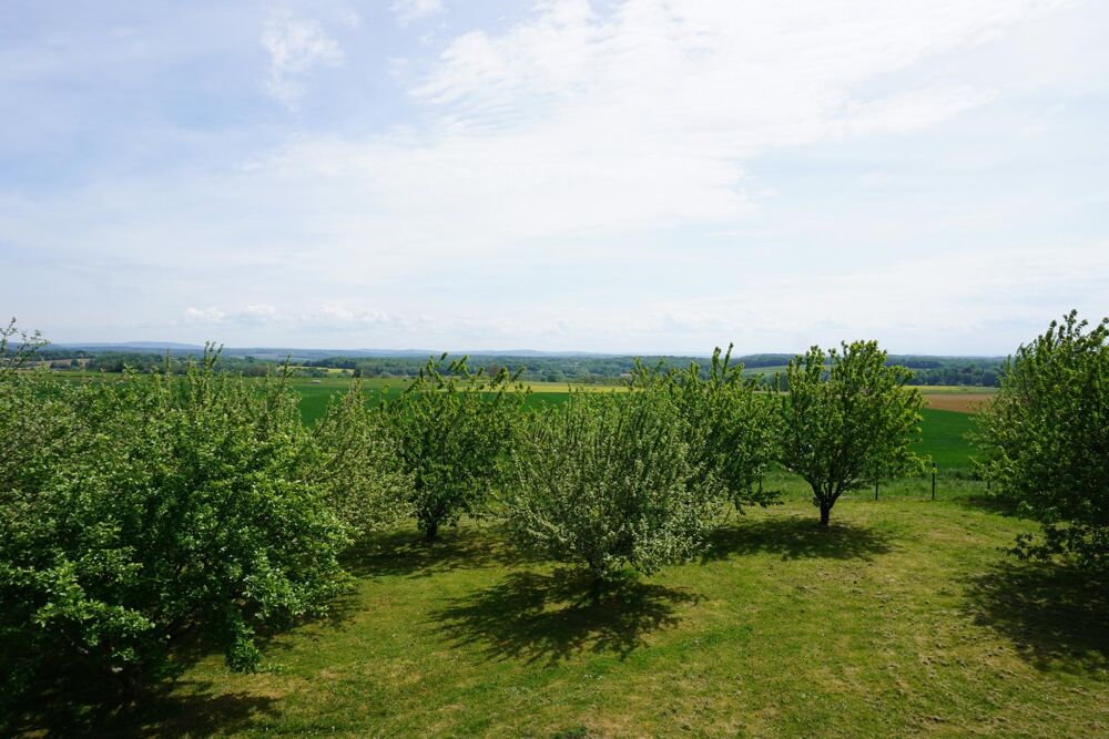 Vente Maison MAISON SANS VIS A VIS Beaumotte-les-pin