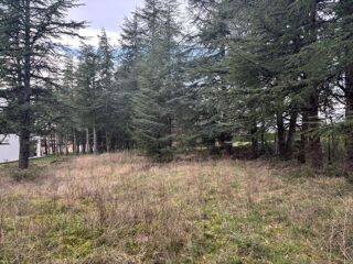  Terrain à vendre 1135 m²