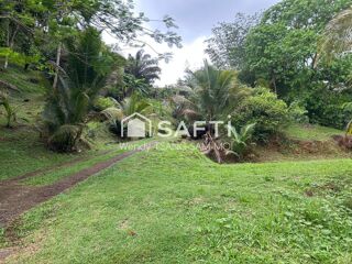  Maison � vendre 12 pi�ces 250 m�