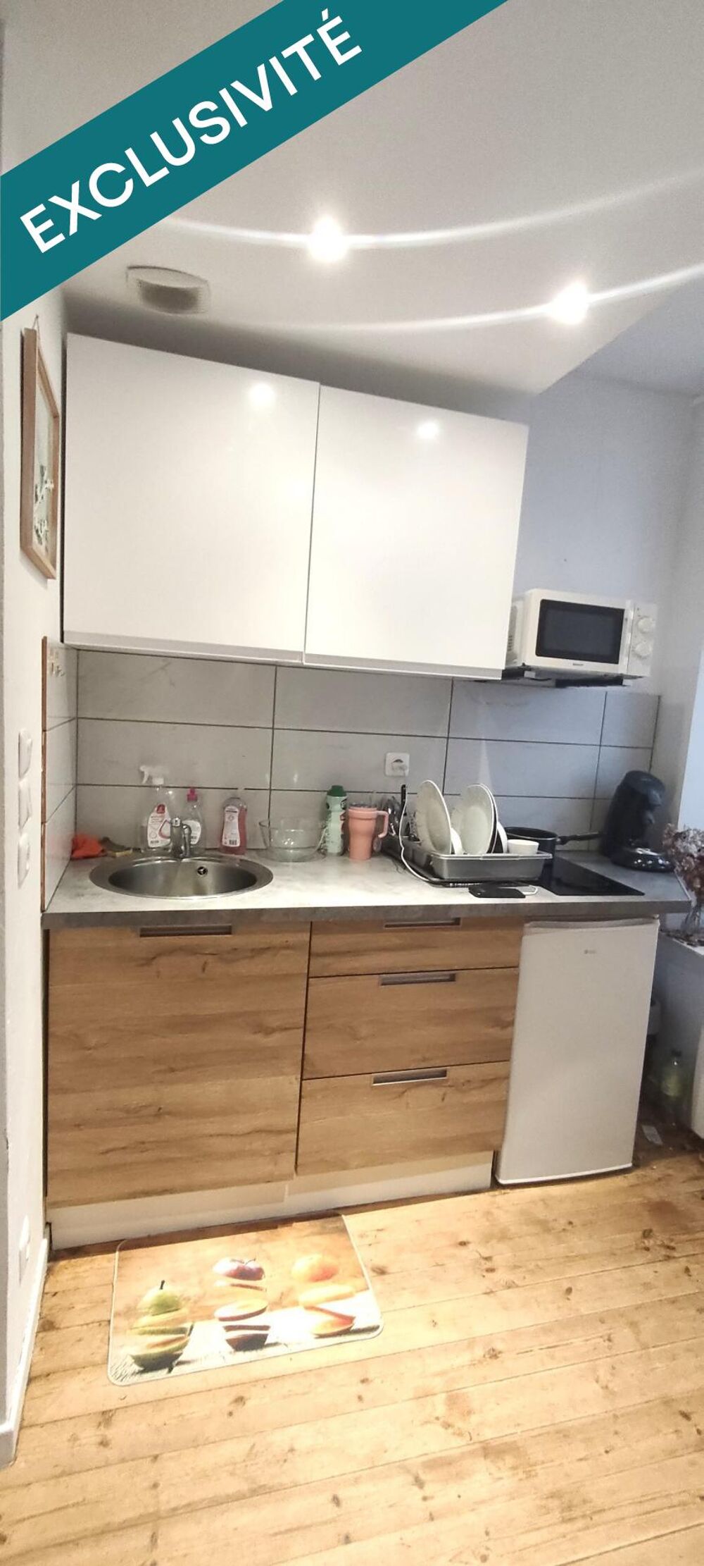 STUDIO DUPLEX IDEAL PRIMO ACCEDANT OU INVESTISSEUR