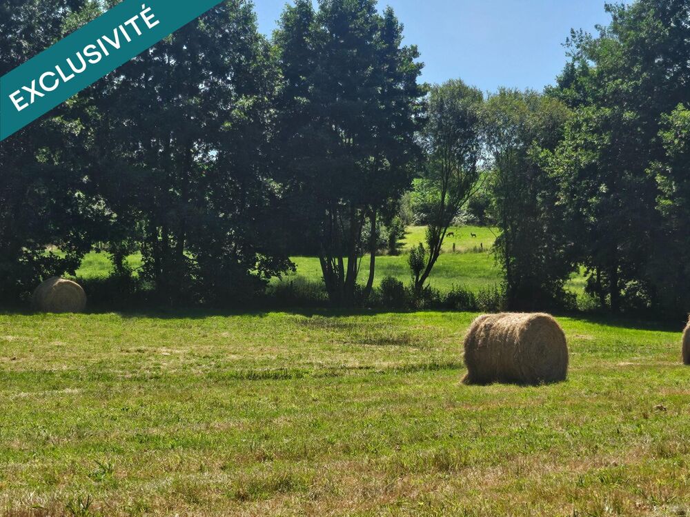 Vente Terrain 8,93 hectares de nature préservée avec ruisseau . Barenton