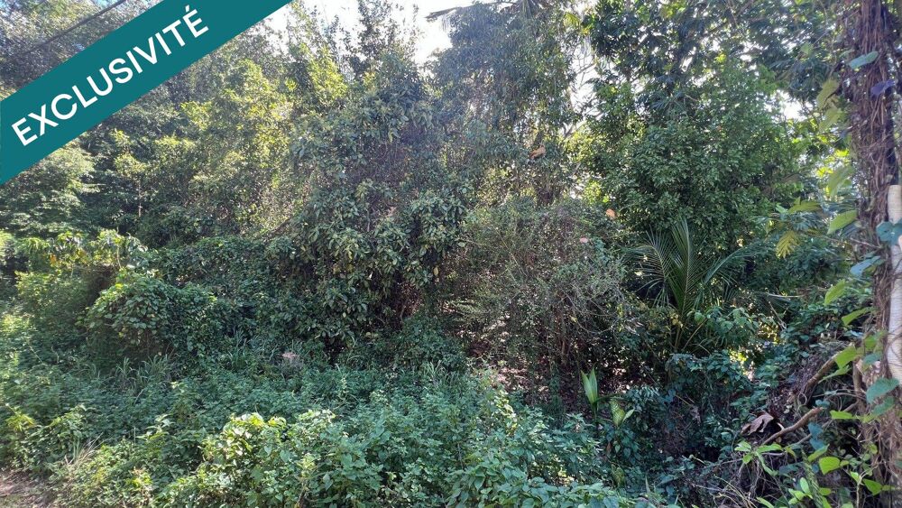 Vente Terrain Gosier - Terrain - Quartier calme Le gosier