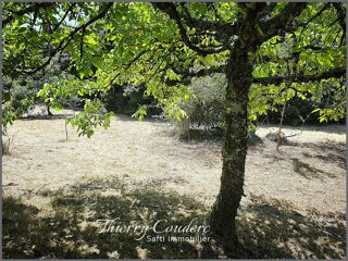  Terrain à vendre 4642 m²