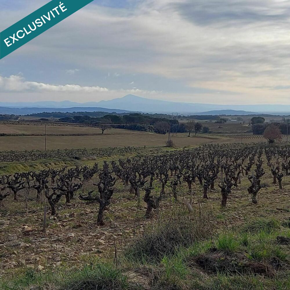 Vente Terrain Parcelle de Vigne Venejan