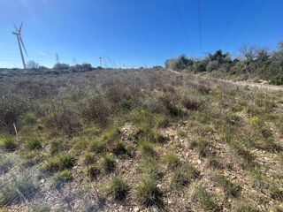  Terrain à vendre 9900 m²