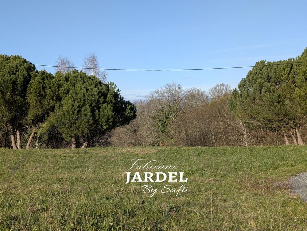 Vente Terrain TERRAIN 1 139 M² VIABILISE - SANS ABF - ASSAINISSEMENT COLLECTIF La chapelle-aubareil