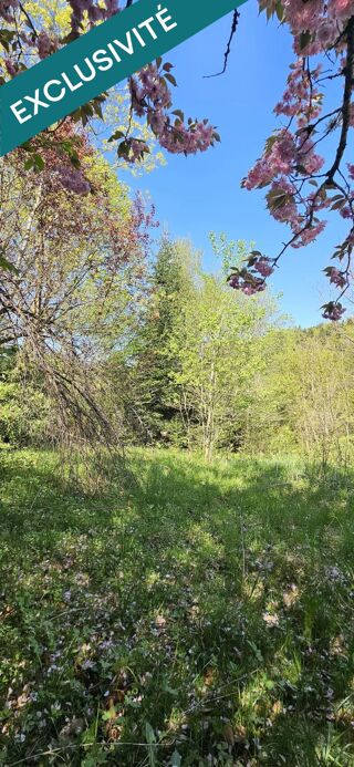  Immeuble  vendre 360 m