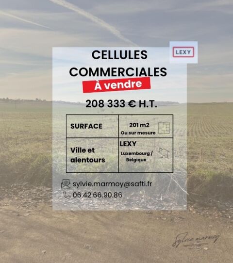 VOTRE NOUVEL EMPLACEMENT COMMERCIAL 208333 54720 Lexy