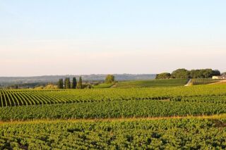  Propriété/château à vendre 15 + pièces 600 m² Langon