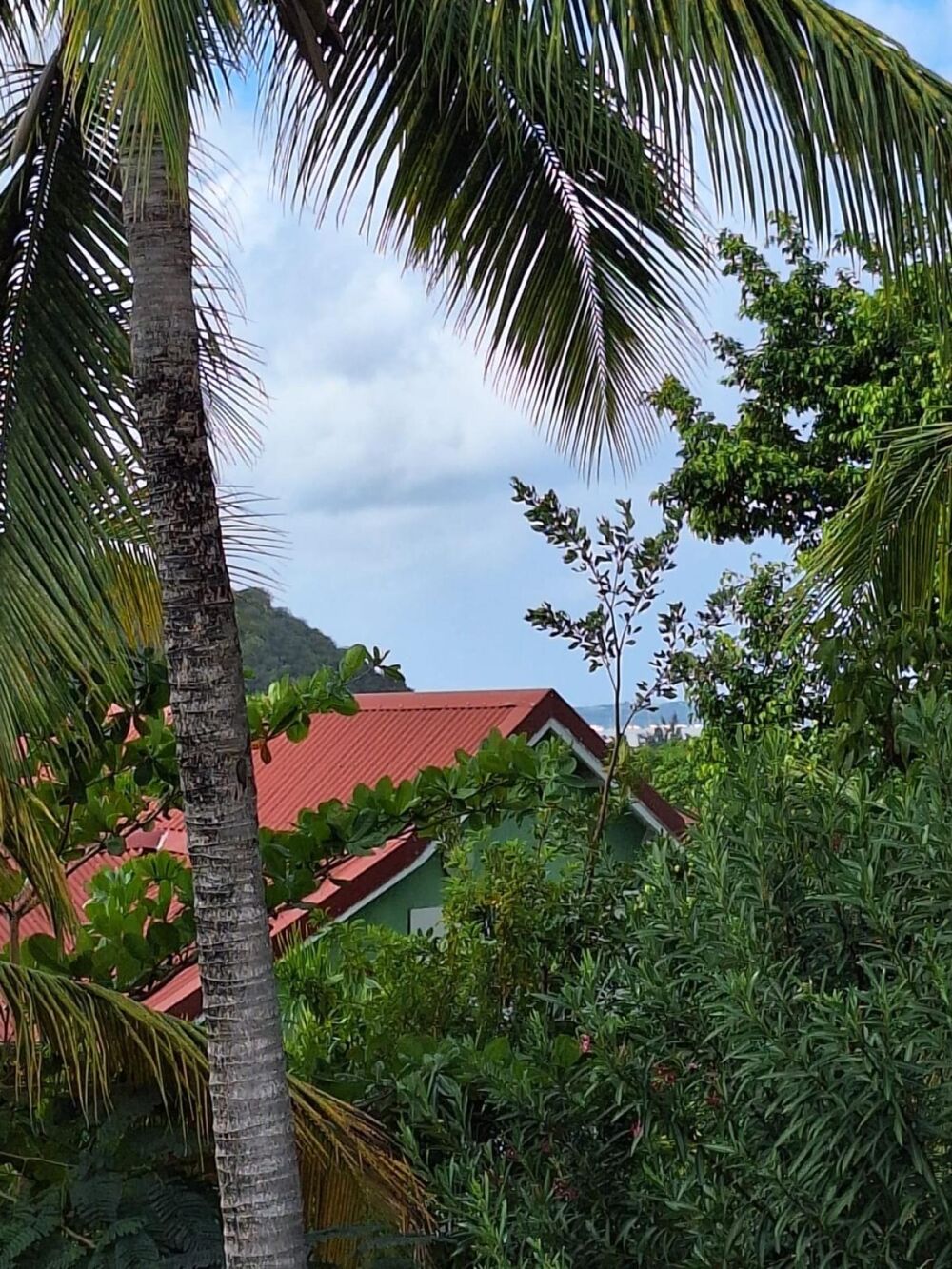 Sous - Offre- Marigot - Agrement -Souplex 2 chambres avec Piscine collective