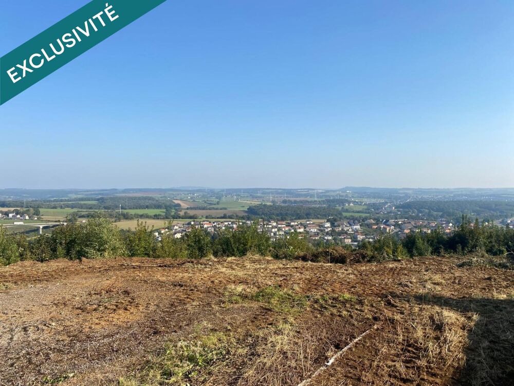 Vente Terrain terrain constructible avec vue imprenable Mont-saint-martin