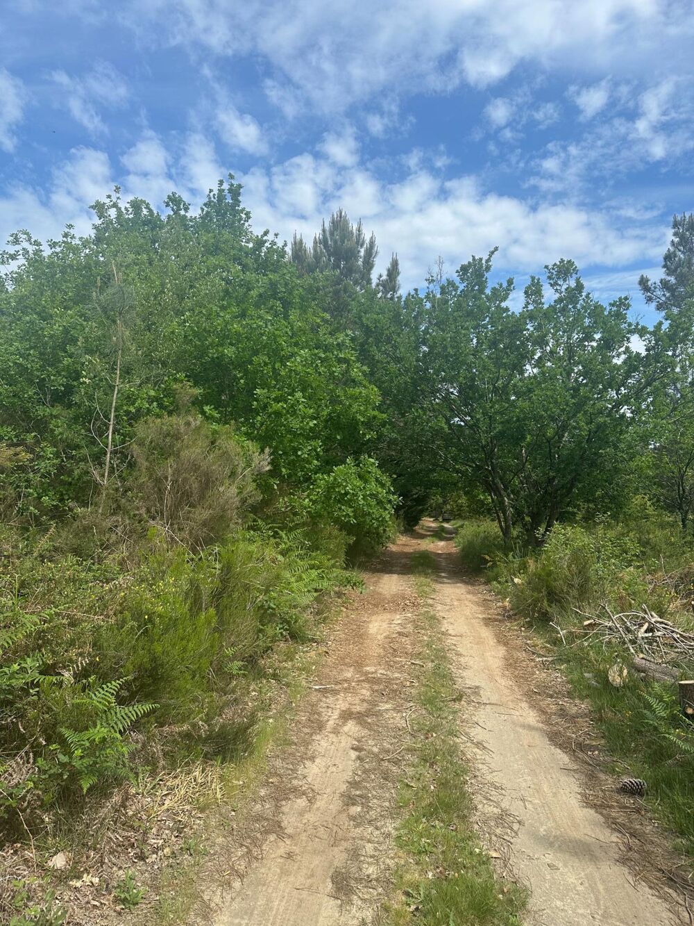 Vente Terrain Terrain agricole de 3 ha au calme à Gujan-Mestras Gujan-mestras