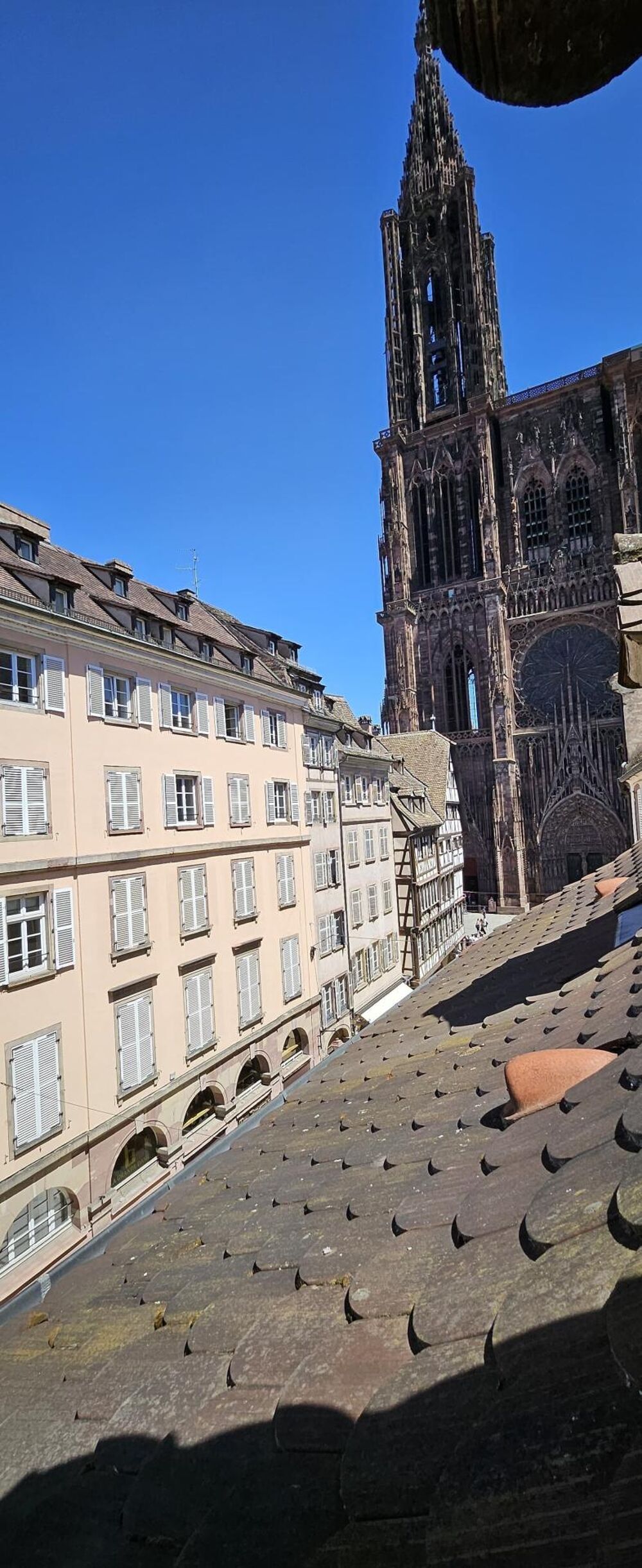 Au pied de la cathédrale de Strasbourg