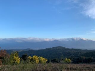  Terrain à vendre 79000 m²