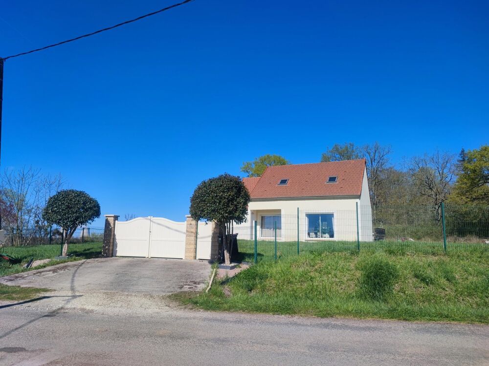 Vente Maison Maison individuelle de 2012 et son garage La celle-sur-loire