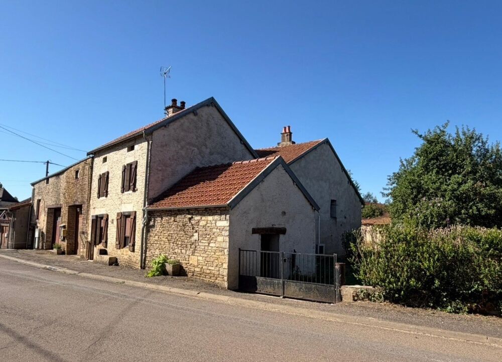 Vente Maison Maison en pierre grandes dépendances et terrain Champlitte-la-ville