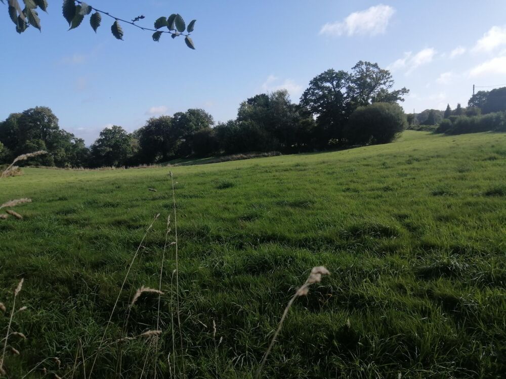  vendre  Maison Fontenermont (14380)