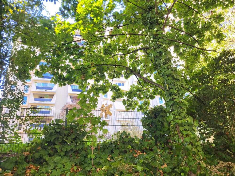 Vente Appartement VILLEURBANNE – TONKIN / PARC DE LA TÊTE D'OR – APPARTEMENT T3 av. Ascenseur - GARAGE ET CAVE Villeurbanne